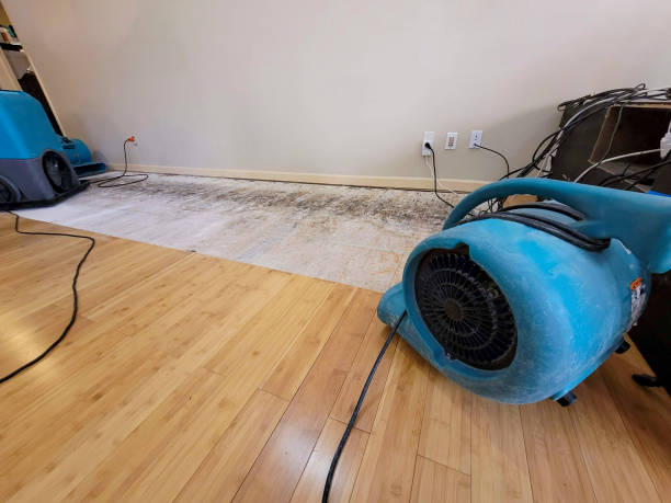 Professional Water Extraction technician working in Buford, WY